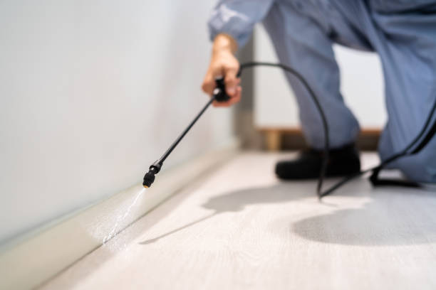 Licensed Pest Control service in Security-Widefield, CO - Show Me Pest Control