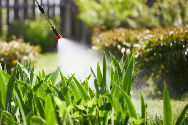 24/7 Emergency Mosquito Control experts in Security-Widefield, CO