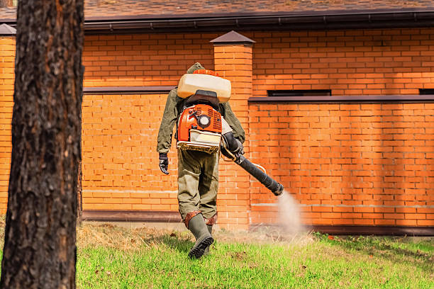 Top rated local Mosquito Control specialists in Security-Widefield, CO